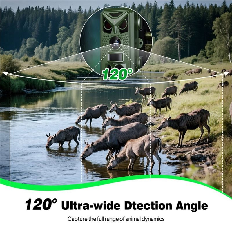BTLIFE-Wildlife Surveillance 1 - Trail Camera Infrared บทวิจารณ์และราคา