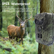 กล้องติดตามสัตว์ป่า 20MP 1080P - Trail Camera Infrared บทวิจารณ์และราคา